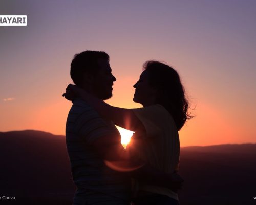 Love Story Shayari in Hindi  - storyshayari.com